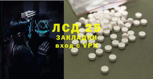 спайс Бородино